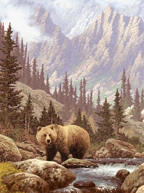Das Bear At Mountain River Wallpaper 480x640