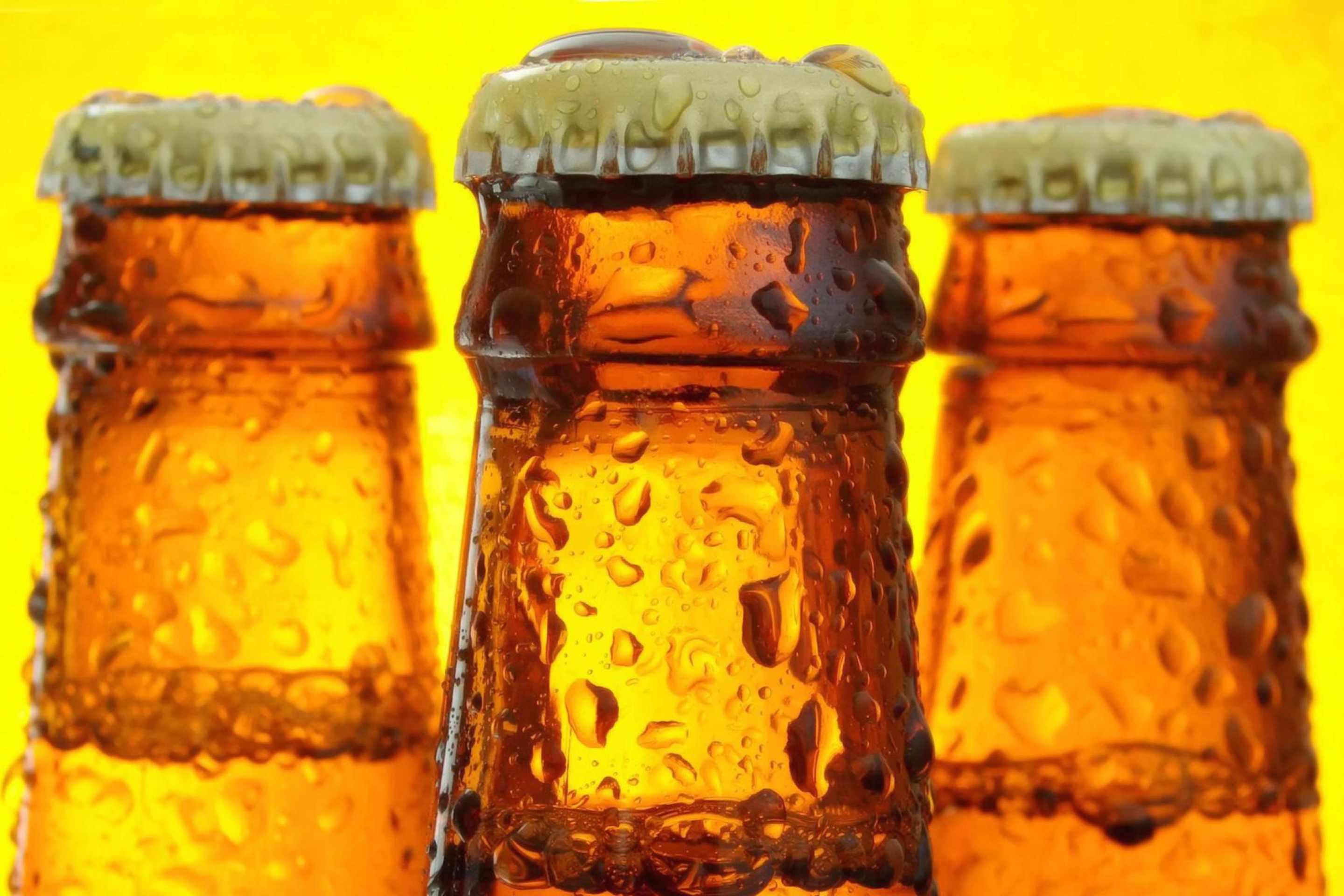 Fondo de pantalla Cold Beer Bottles 2880x1920