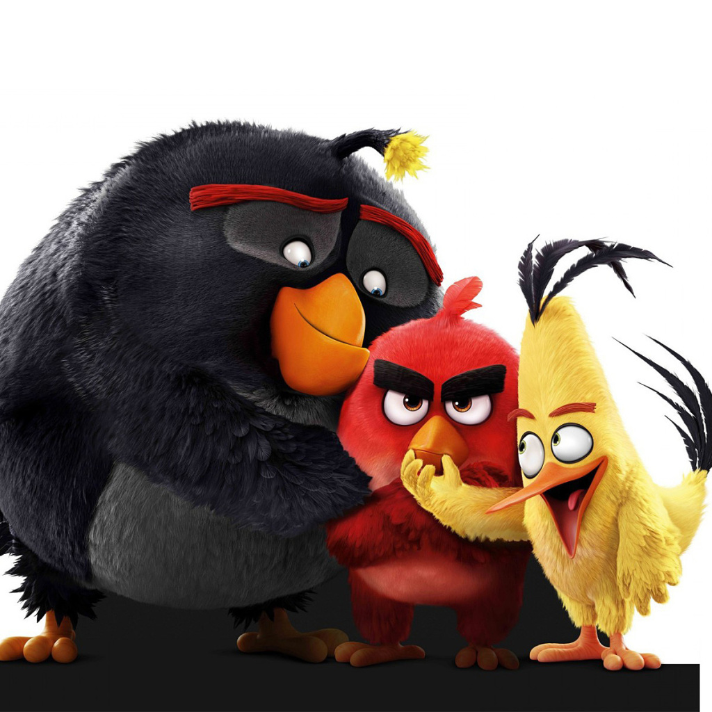 Обои Angry Birds the Movie 2016 1024x1024