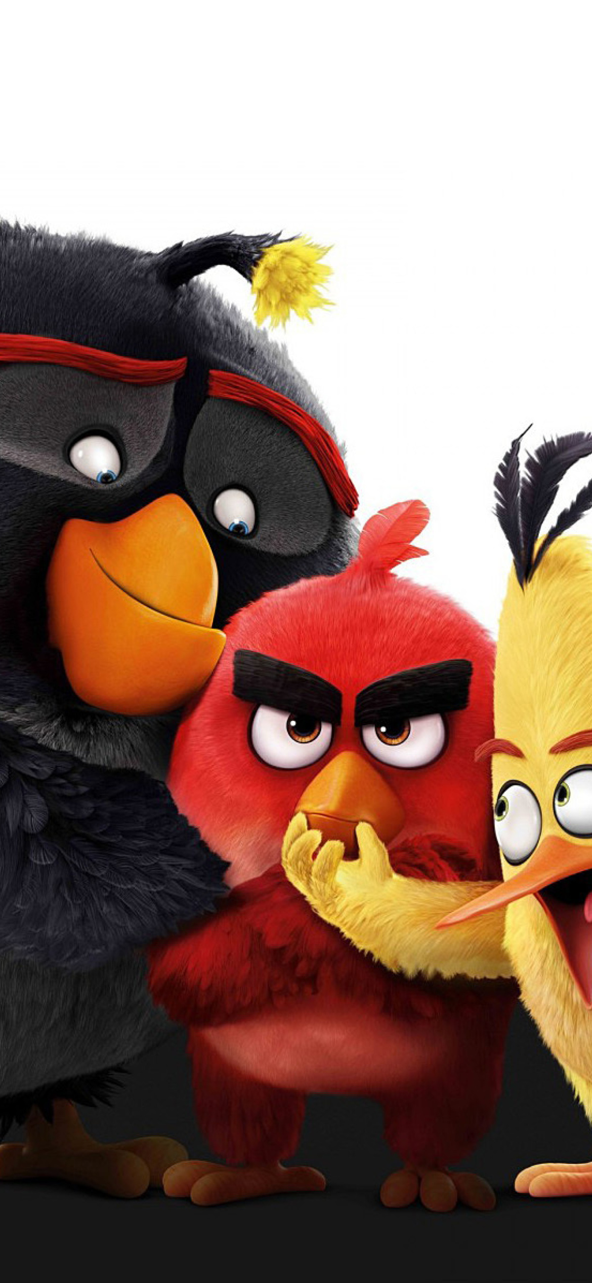 Das Angry Birds the Movie 2016 Wallpaper 1170x2532