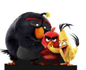 Screenshot №1 pro téma Angry Birds the Movie 2016 176x144