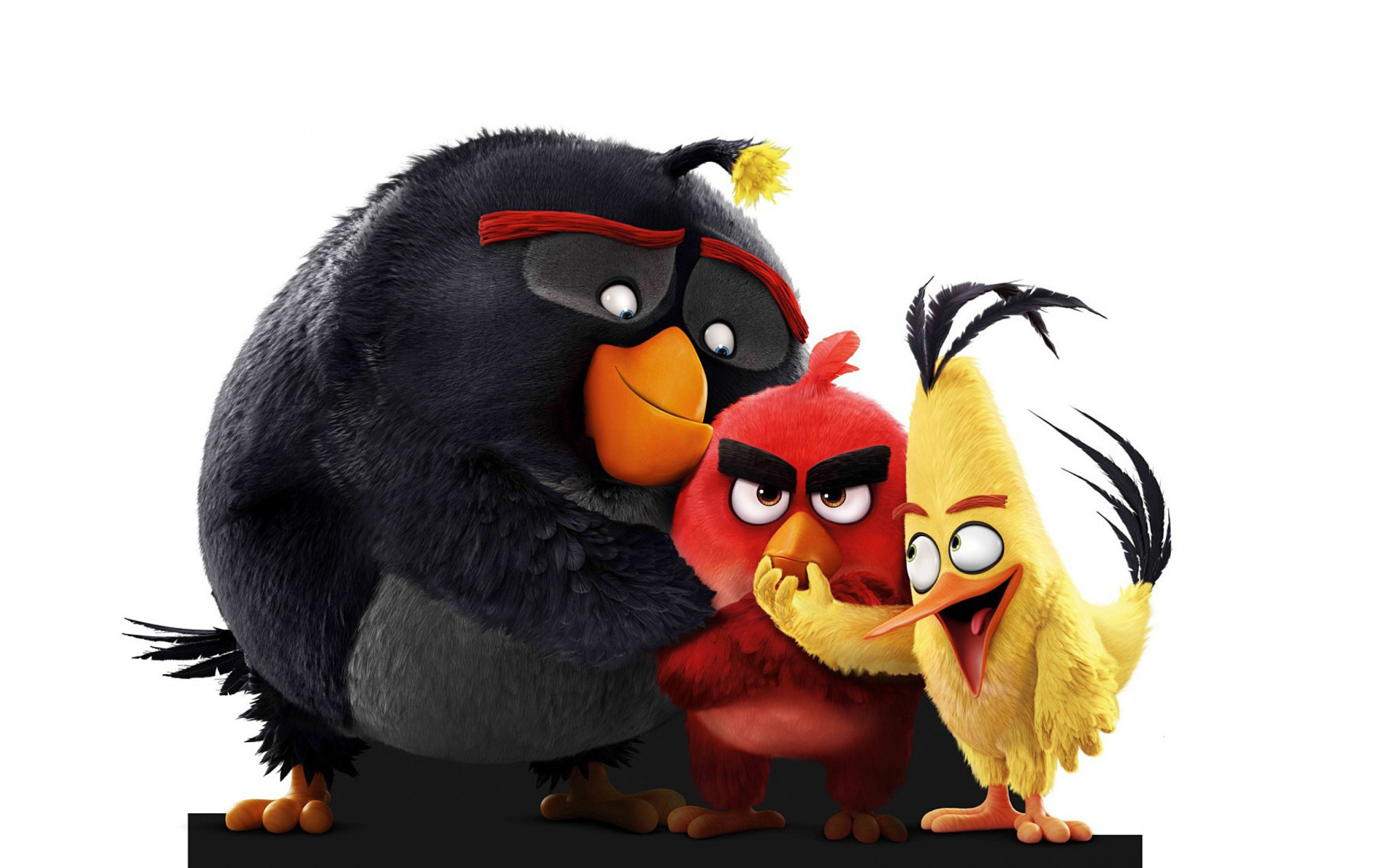 Sfondi Angry Birds the Movie 2016 2560x1600
