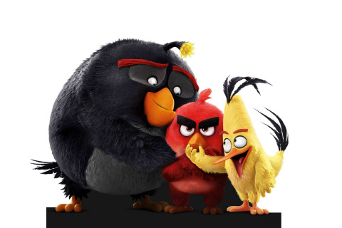 Das Angry Birds the Movie 2016 Wallpaper 480x320