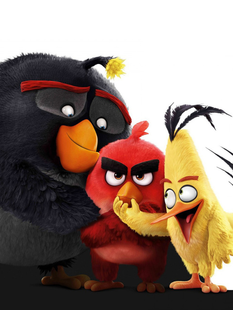 Das Angry Birds the Movie 2016 Wallpaper 480x640