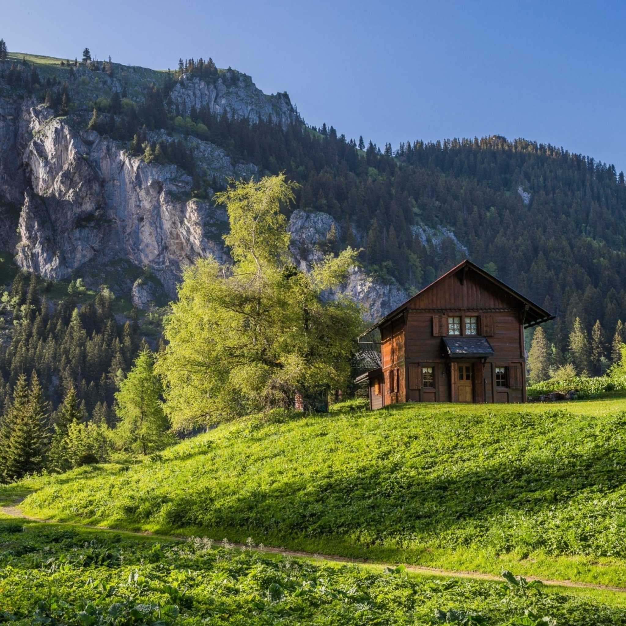 Обои Green House in Swiss Alps 2048x2048