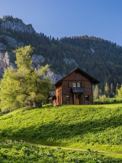 Обои Green House in Swiss Alps 240x320