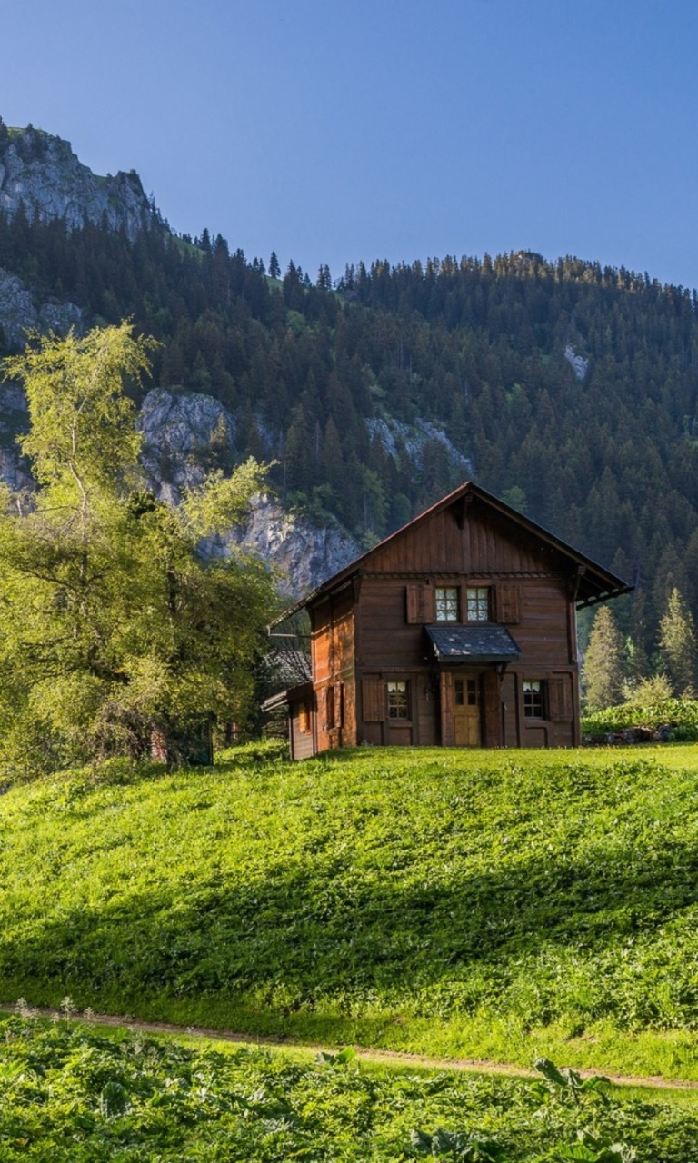 Green House in Swiss Alps wallpaper 768x1280