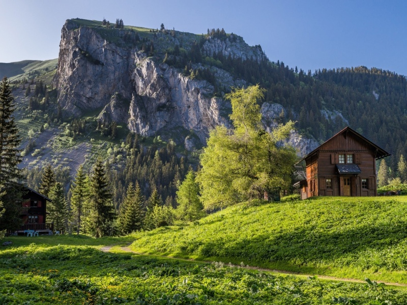 Обои Green House in Swiss Alps 800x600