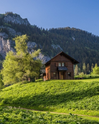Kostenloses Green House in Swiss Alps Wallpaper für 320x480
