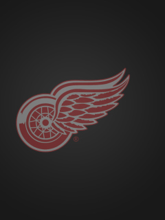 Screenshot №1 pro téma Detroit Red Wings 240x320