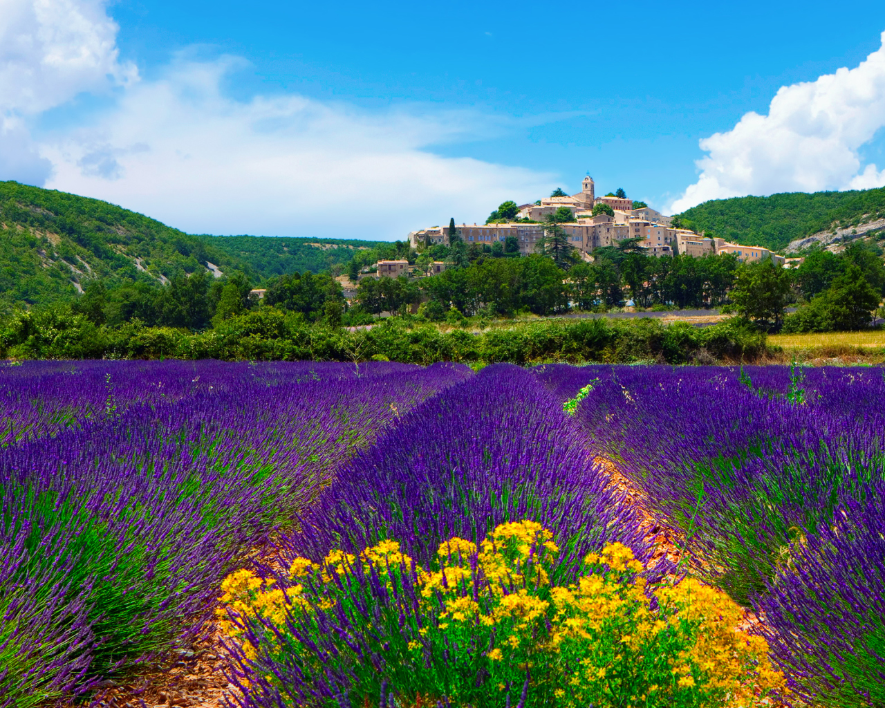Fondo de pantalla Lavender Field In Provence France 1280x1024