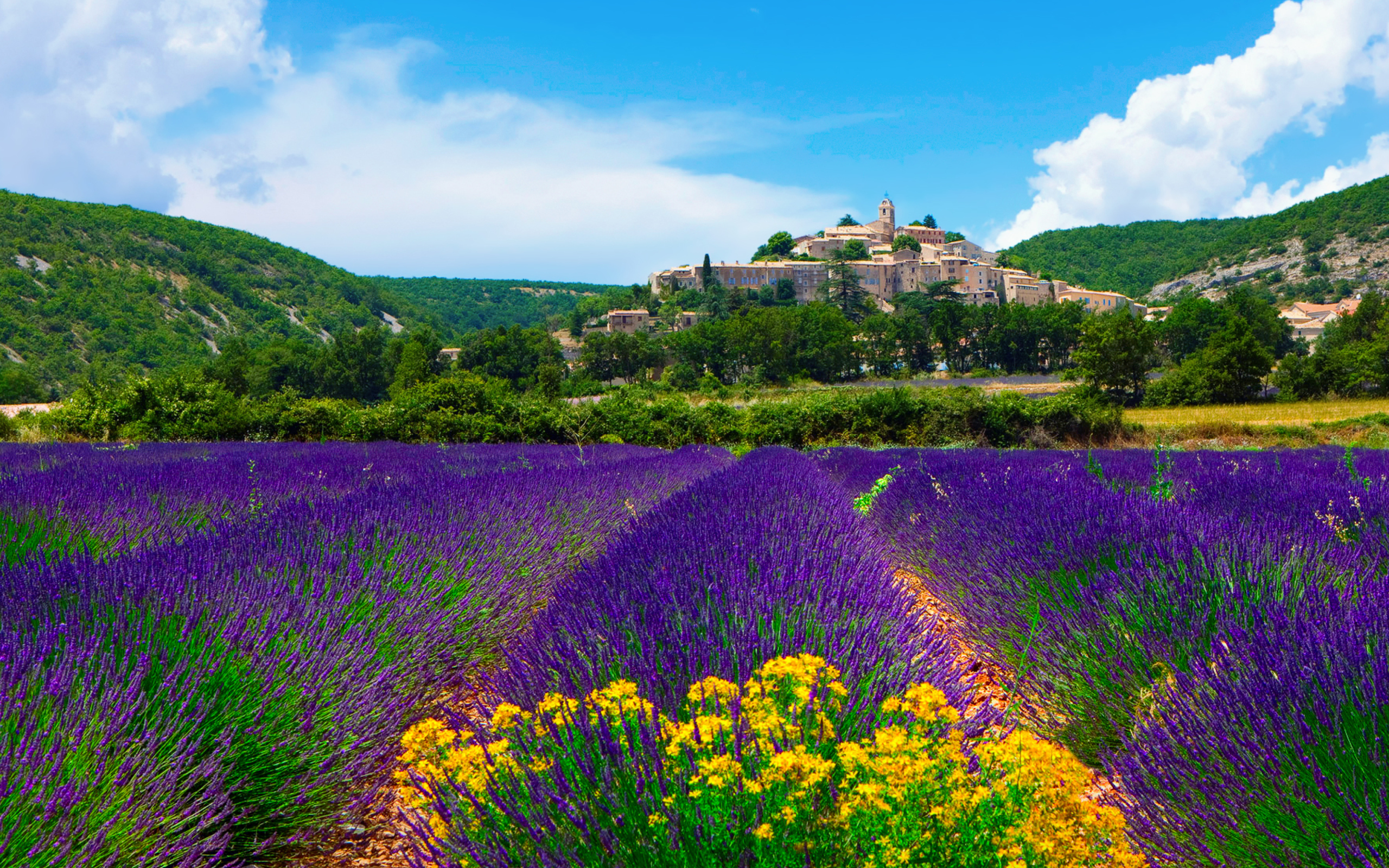 Обои Lavender Field In Provence France 2560x1600