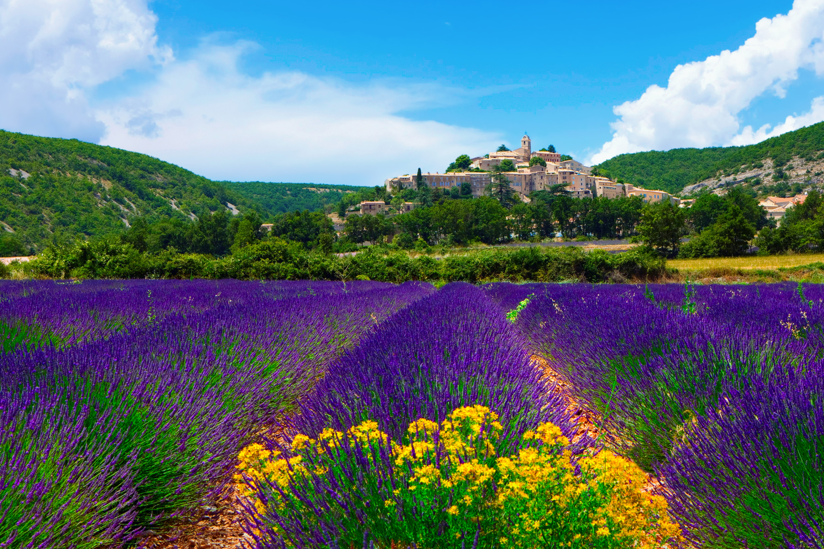 Das Lavender Field In Provence France Wallpaper 2880x1920