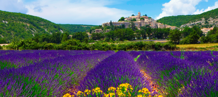Обои Lavender Field In Provence France 720x320