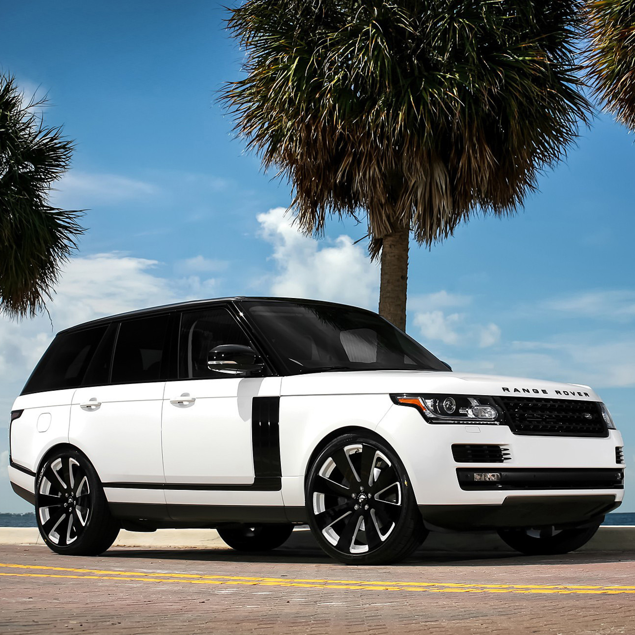 Range Rover White screenshot #1 2048x2048