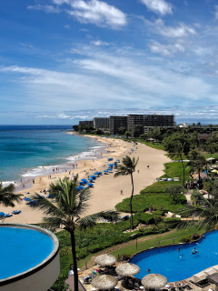 Fondo de pantalla Hawaii Boutique Luxury Hotel with Spa and Pool 240x320