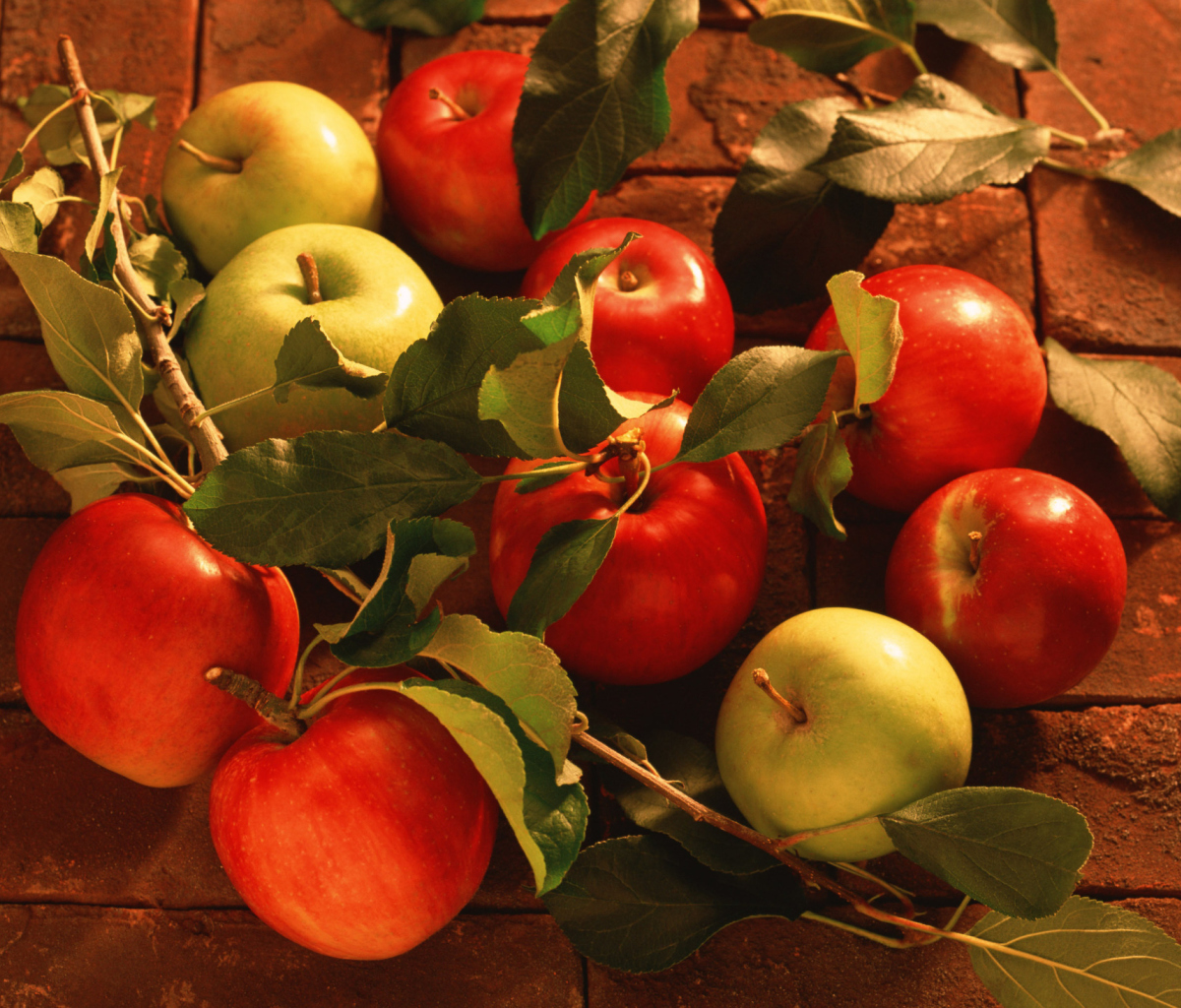Sfondi Apples And Juicy Leaves 1200x1024