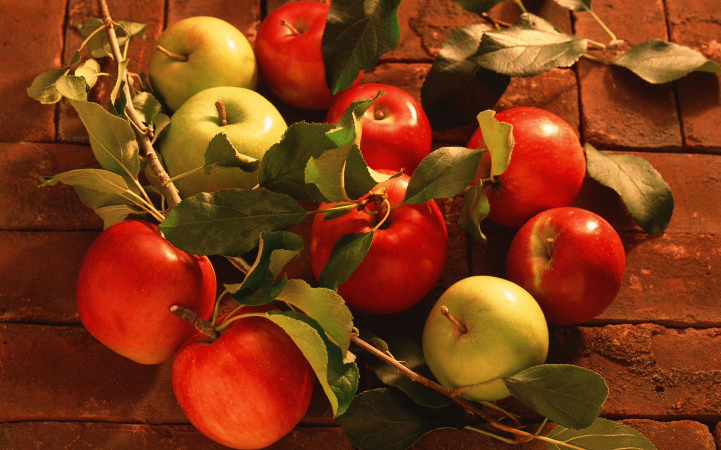 Fondo de pantalla Apples And Juicy Leaves 1440x900