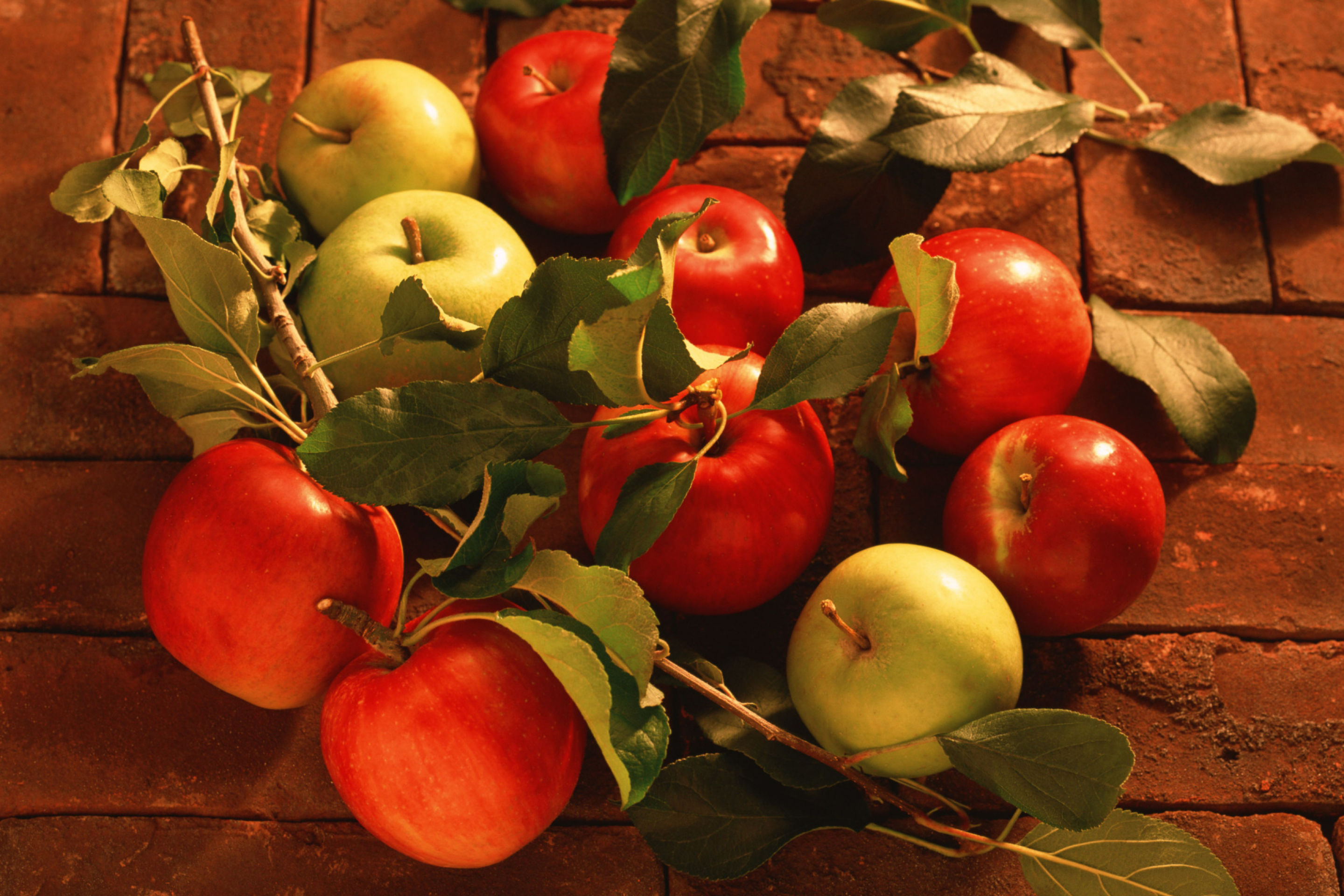 Fondo de pantalla Apples And Juicy Leaves 2880x1920