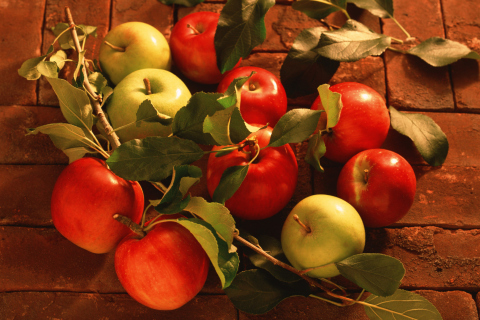 Sfondi Apples And Juicy Leaves 480x320