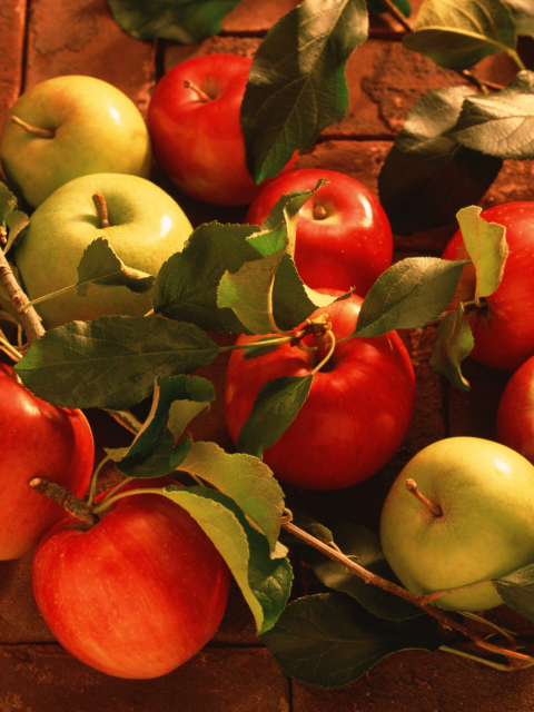Das Apples And Juicy Leaves Wallpaper 480x640