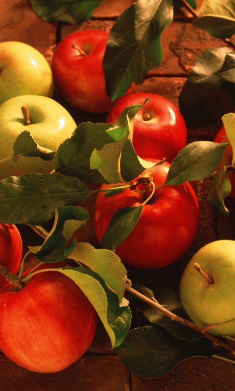 Обои Apples And Juicy Leaves 480x800