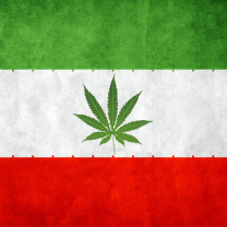 Das Iran Weeds Flag Wallpaper 208x208