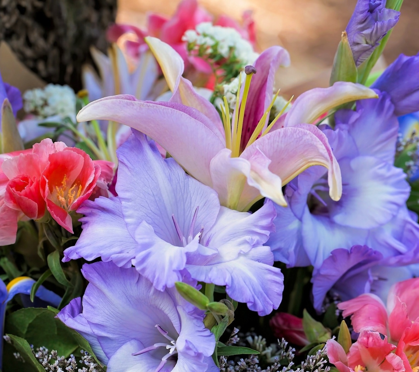 Fondo de pantalla Lilies Flowers 1440x1280