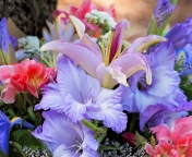 Fondo de pantalla Lilies Flowers 176x144