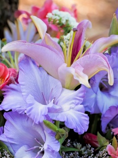 Lilies Flowers screenshot #1 240x320