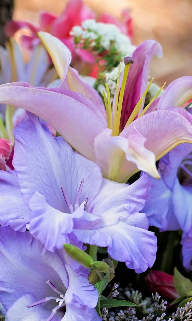 Lilies Flowers wallpaper 768x1280