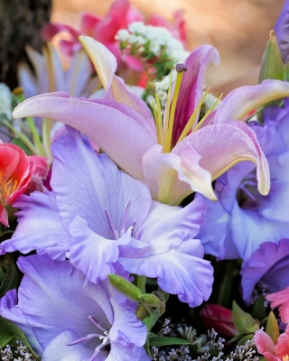 Lilies Flowers - Obrázkek zdarma pro 128x160