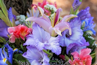 Lilies Flowers - Obrázkek zdarma pro Samsung Galaxy A
