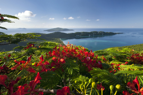 Ocean Photography on Equator screenshot #1 480x320