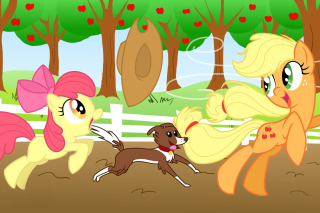 My Little Pony Picture for Android, iPhone and iPad