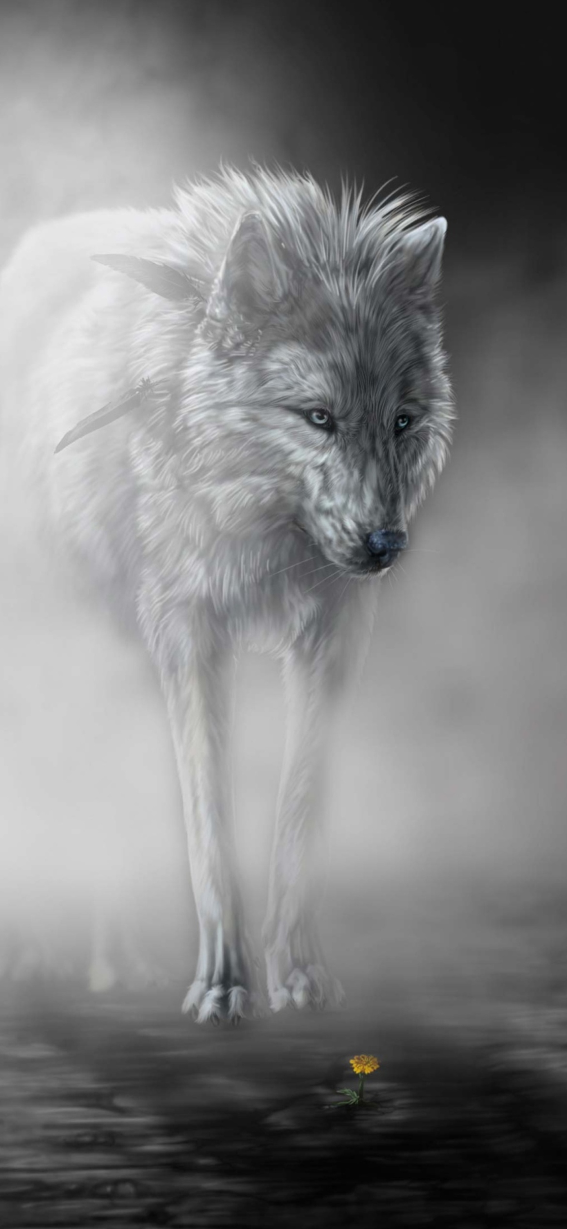 Das Lonely Wolf Wallpaper 1170x2532