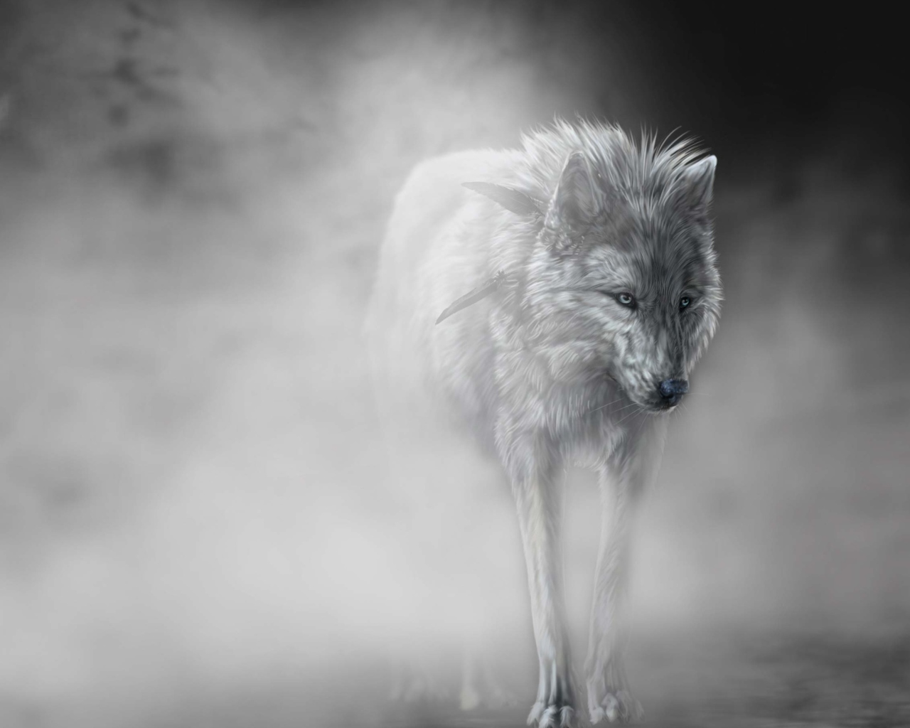 Lonely Wolf wallpaper 1280x1024