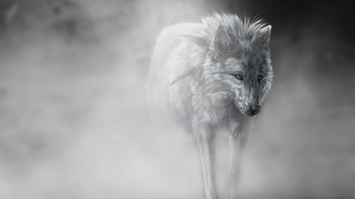 Lonely Wolf wallpaper 1366x768