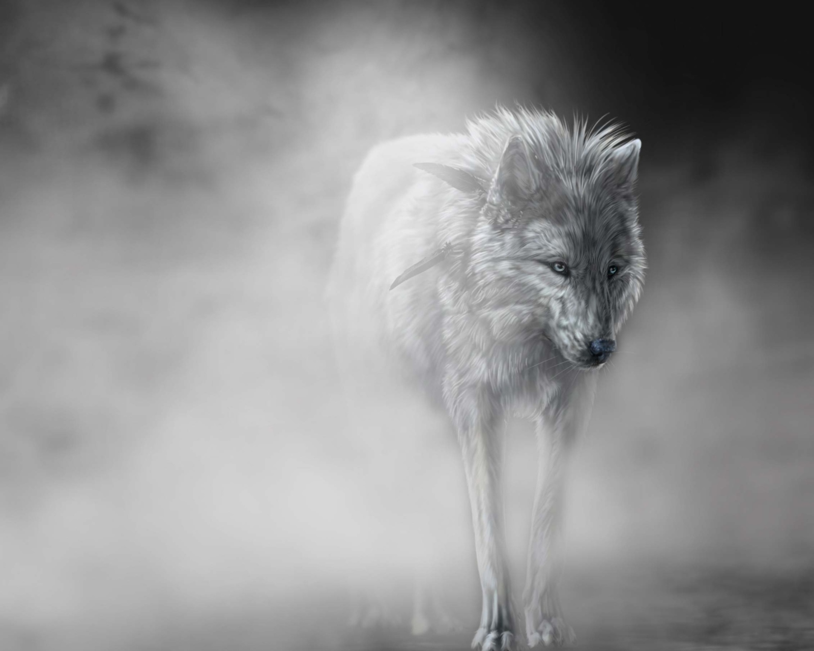 Fondo de pantalla Lonely Wolf 1600x1280