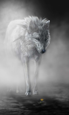 Sfondi Lonely Wolf 240x400