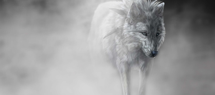 Sfondi Lonely Wolf 720x320