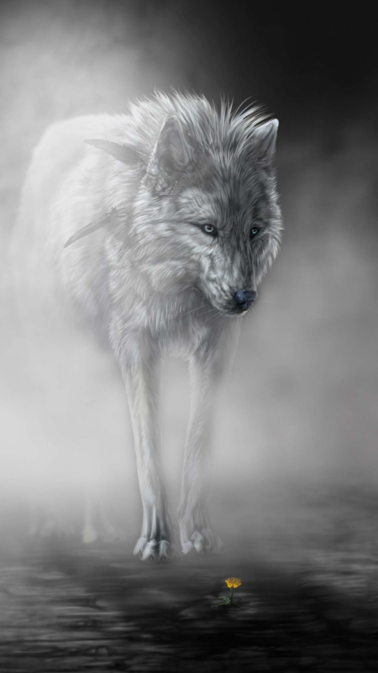 Lonely Wolf wallpaper 750x1334