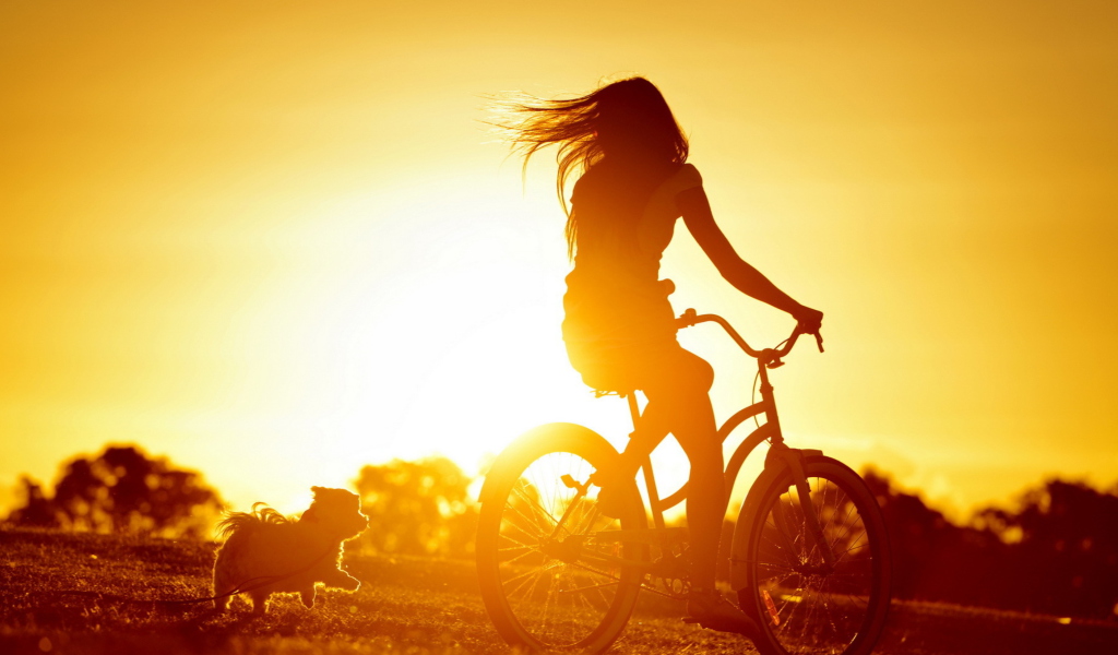 Sunset Bicycle Ride wallpaper 1024x600