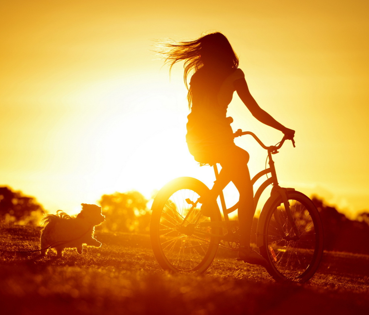Das Sunset Bicycle Ride Wallpaper 1200x1024