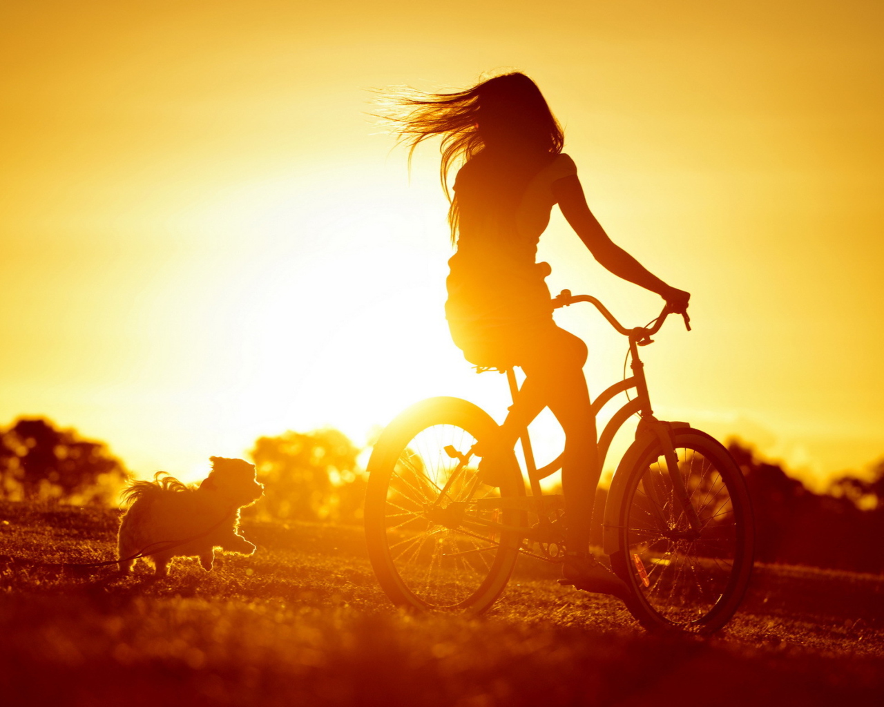 Fondo de pantalla Sunset Bicycle Ride 1280x1024