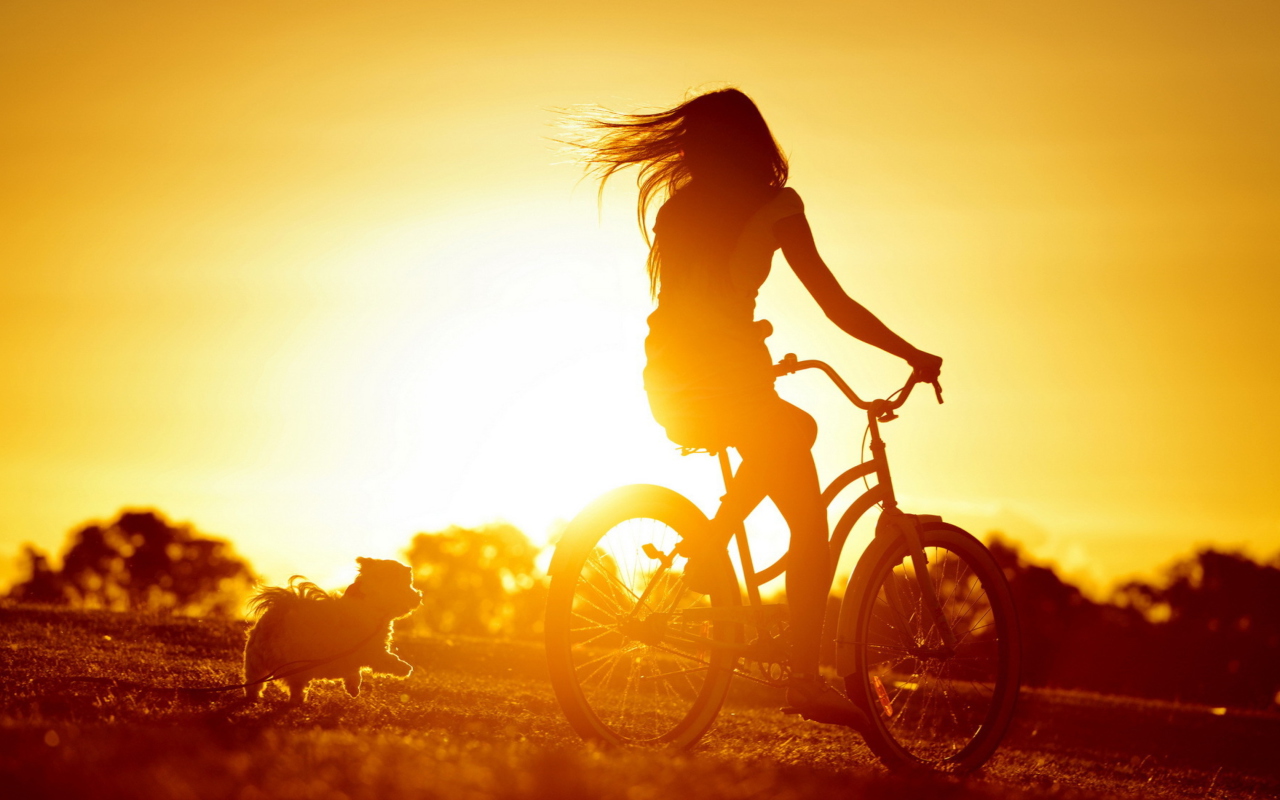 Sfondi Sunset Bicycle Ride 1280x800