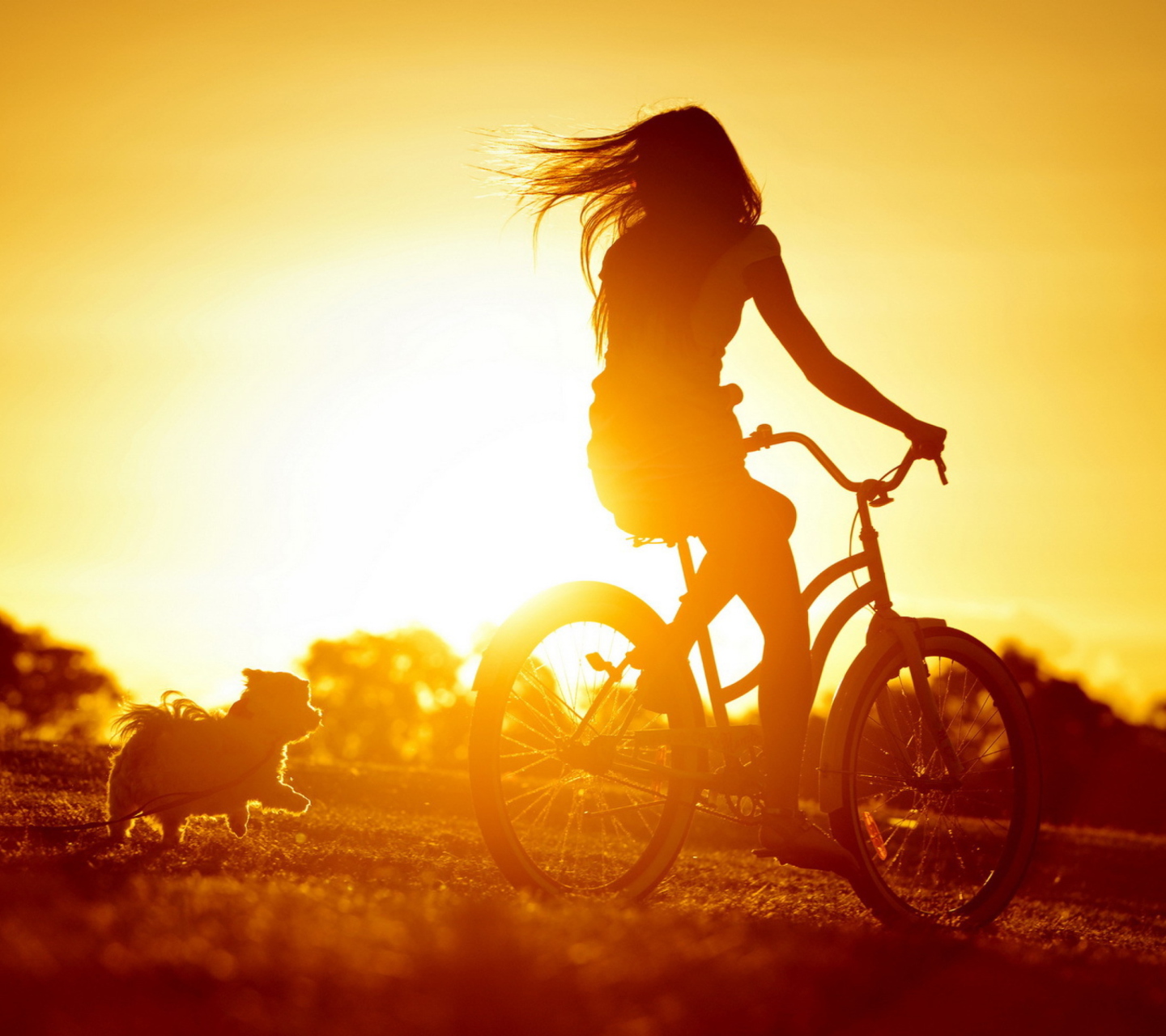 Fondo de pantalla Sunset Bicycle Ride 1440x1280