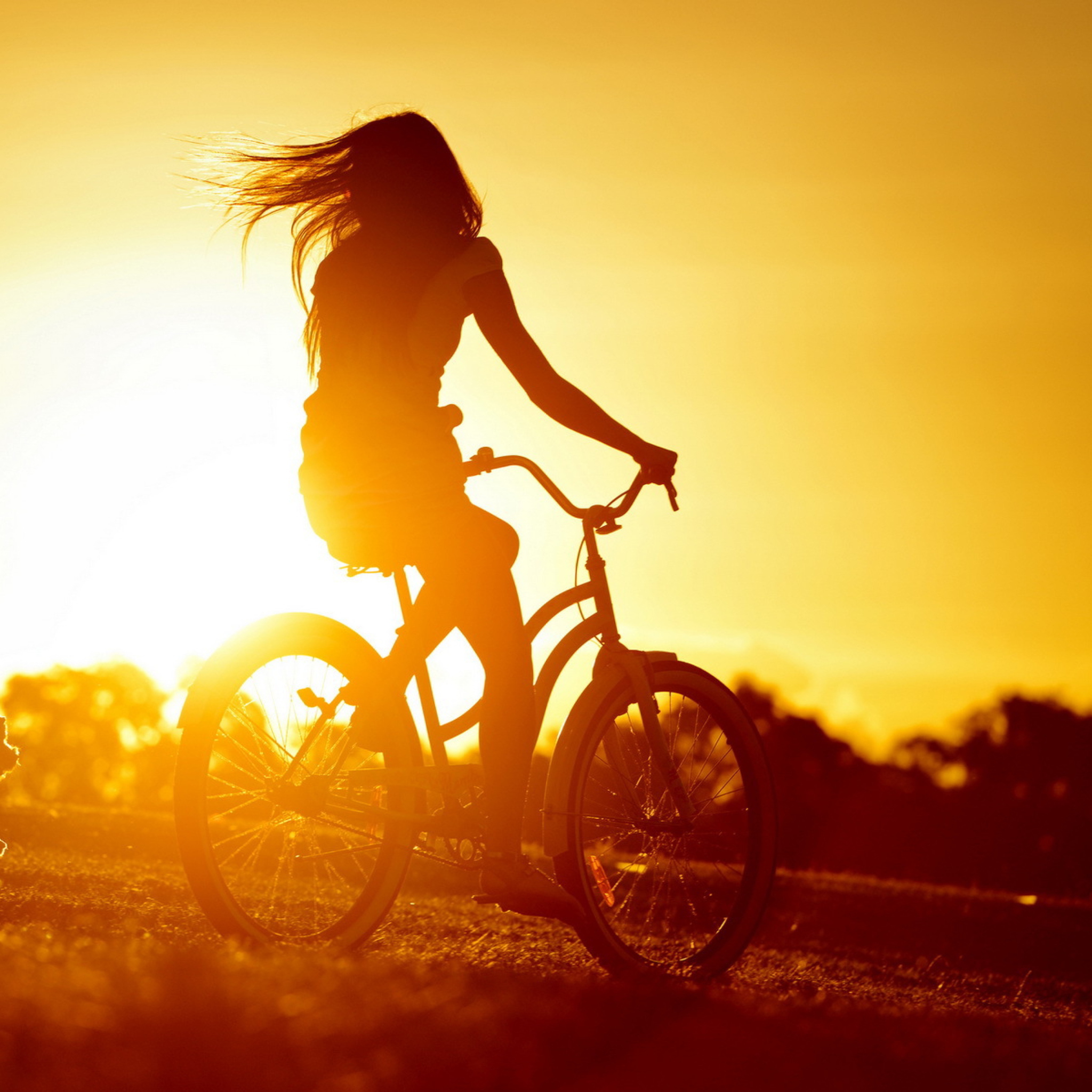 Sunset Bicycle Ride wallpaper 2048x2048