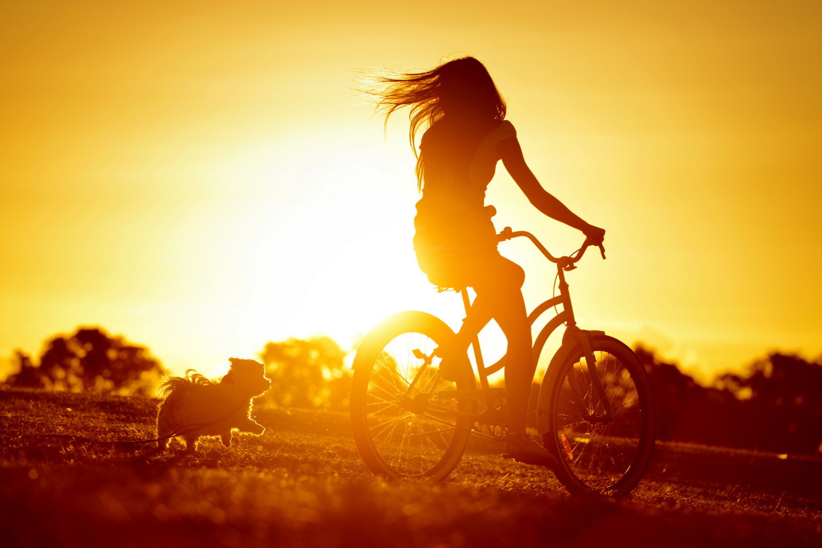 Fondo de pantalla Sunset Bicycle Ride 2880x1920