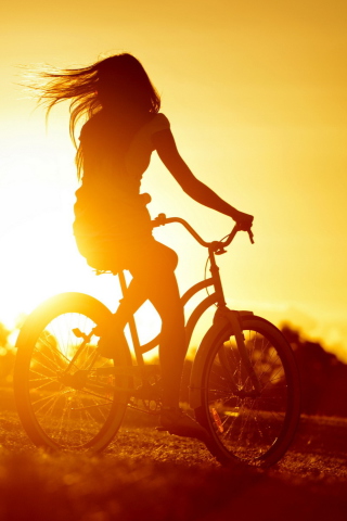 Das Sunset Bicycle Ride Wallpaper 320x480